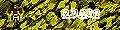 Administrator Administrator