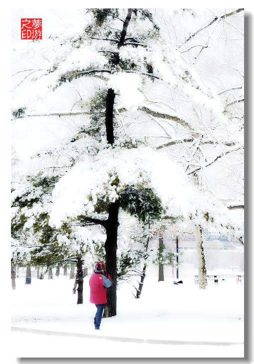 [原创摄影]可乐娜公园雪景20P_图1-4
