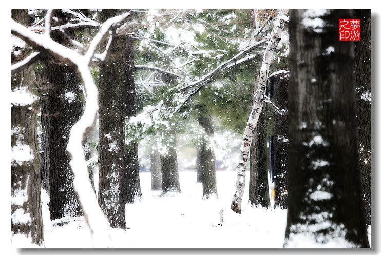 [原创摄影]可乐娜公园雪景20P_图1-19