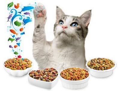 friskies-cat-food-sample.jpg