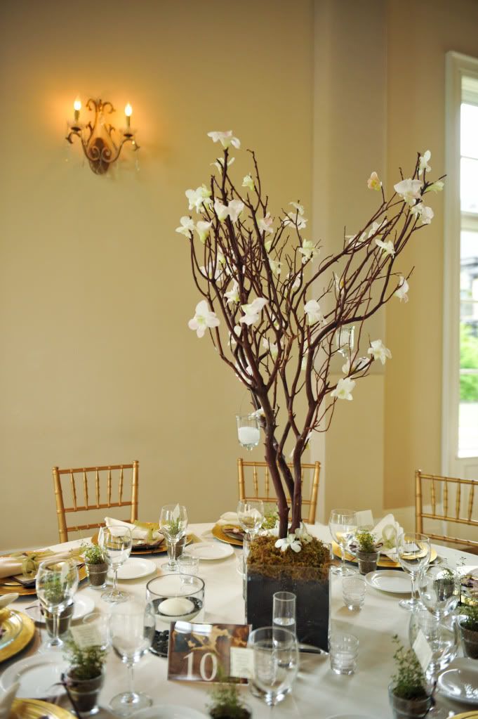 Centerpieces For Wedding Receptions On A Budget