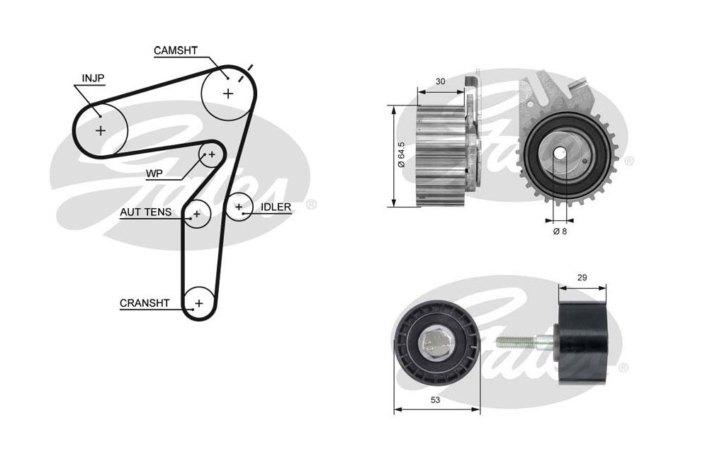 Timing Belt Replacement Vauxhall Zafira at Marjorie Rizzo blog
