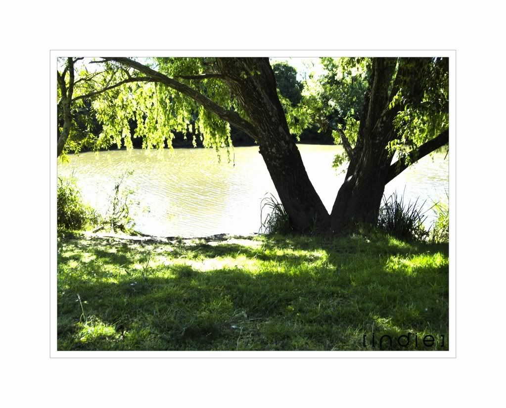 paisajes paisajes