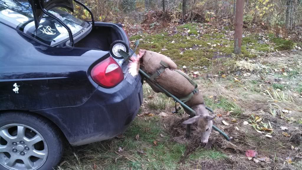 Full, in depth Rack Packer Review(10/19 update) The