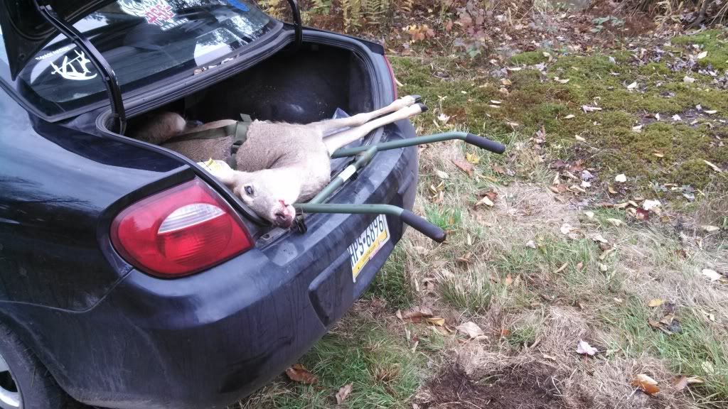 Full, in depth Rack Packer Review(10/19 update) The