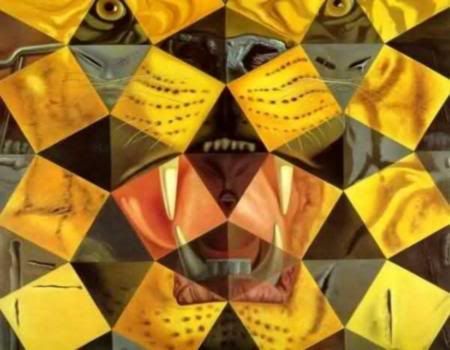 http://i1097.photobucket.com/albums/g348/Pedro2103/lion-optical-illusions.jpg