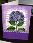 Hydrangea