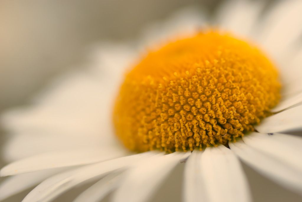 Fotografie