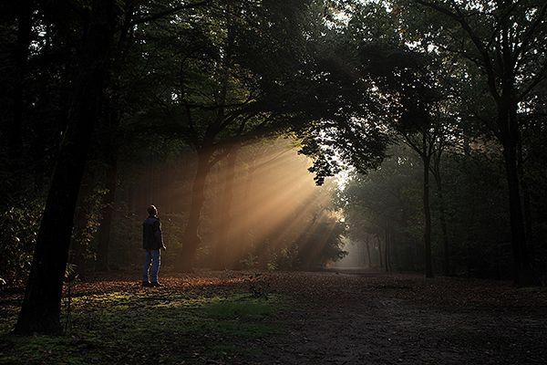 Fotografie