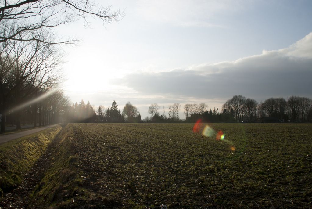 Fotografie