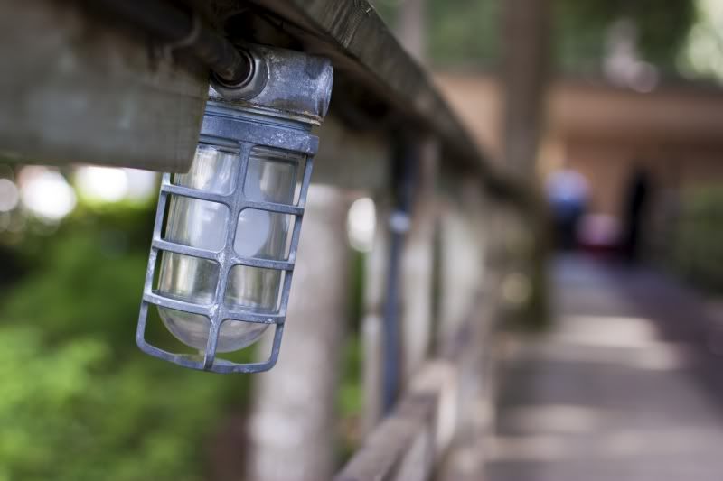 IMAGE: http://i1097.photobucket.com/albums/g350/winwinphoto/IMG_2060-800.jpg