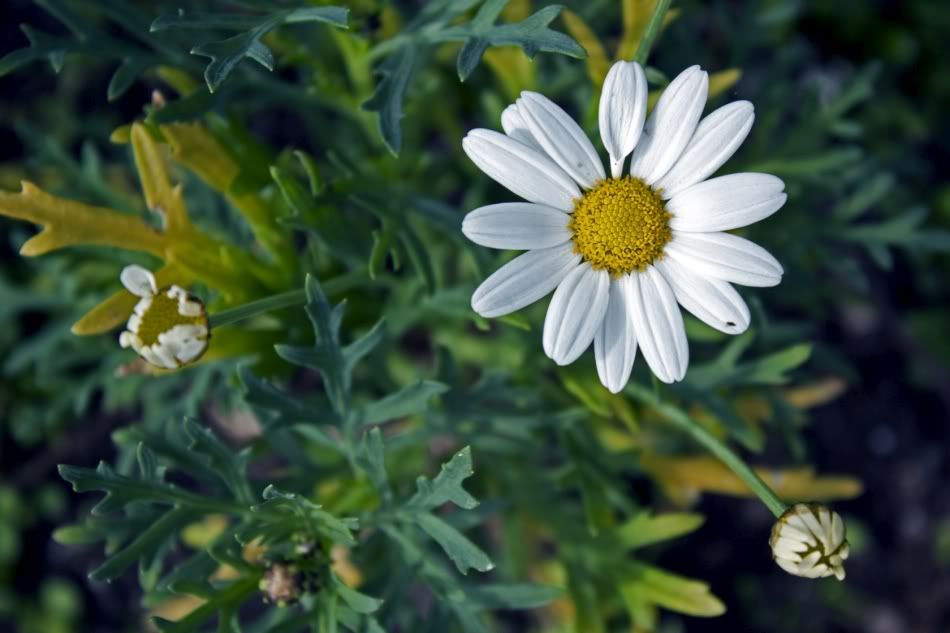 IMAGE: http://i1097.photobucket.com/albums/g350/winwinphoto/IMG_2349b-1680-950.jpg