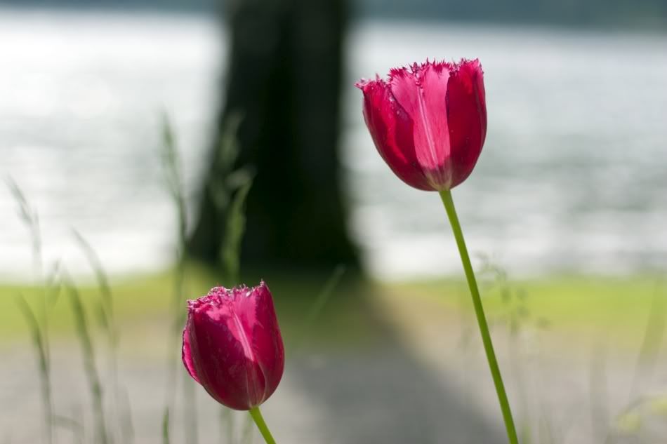 IMAGE: http://i1097.photobucket.com/albums/g350/winwinphoto/IMG_2361-1680-950.jpg