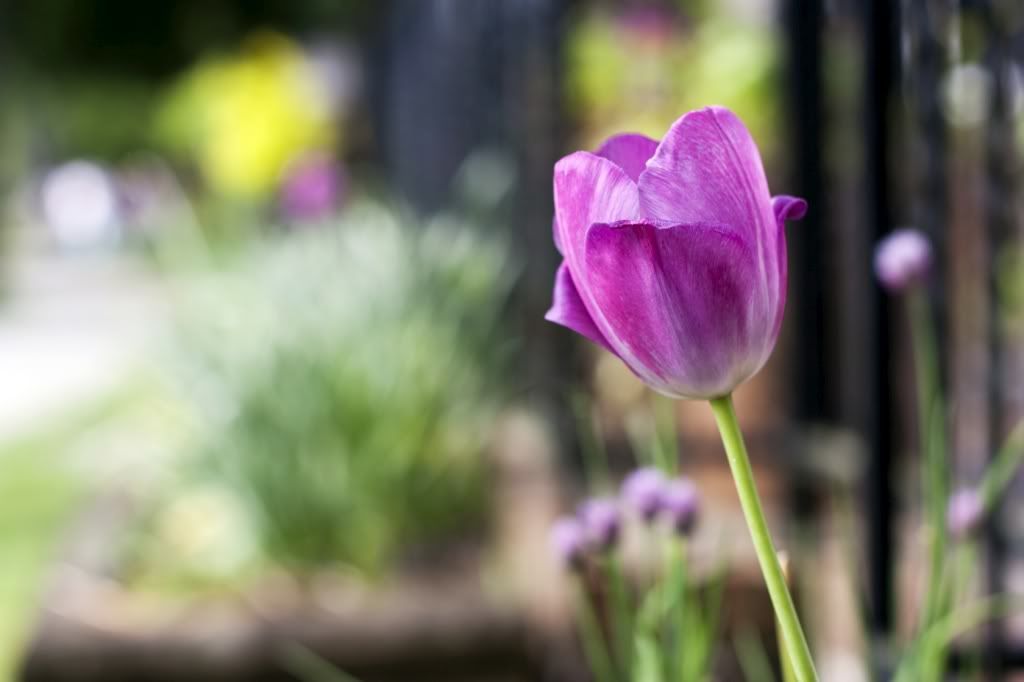 IMAGE: http://i1097.photobucket.com/albums/g350/winwinphoto/IMG_2362-1680-1024.jpg