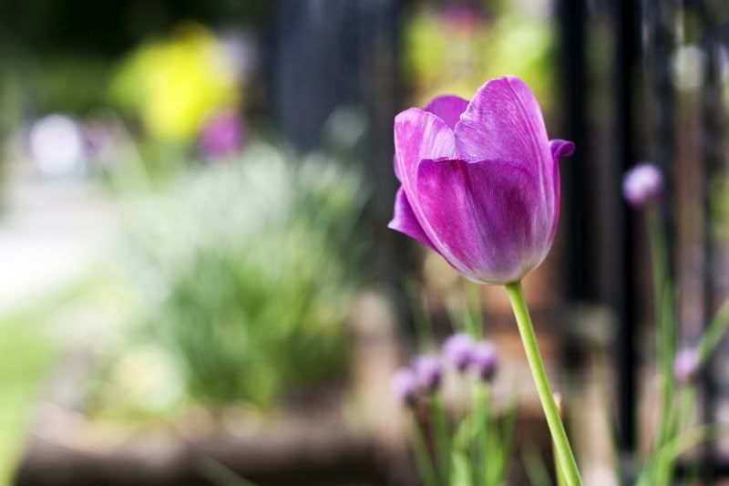 IMAGE: http://i1097.photobucket.com/albums/g350/winwinphoto/IMG_2362-800.jpg