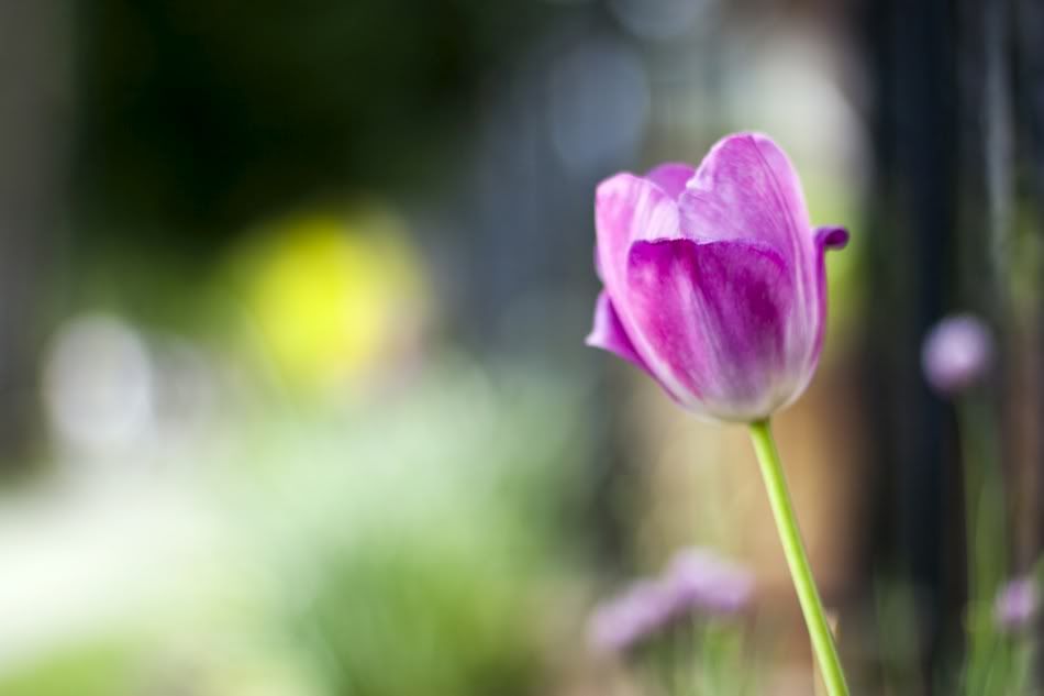 IMAGE: http://i1097.photobucket.com/albums/g350/winwinphoto/IMG_2363-1680-950.jpg