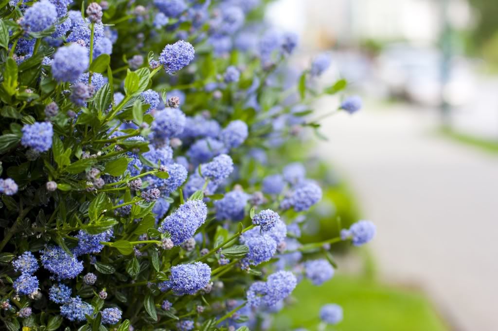 IMAGE: http://i1097.photobucket.com/albums/g350/winwinphoto/IMG_2573-1024.jpg