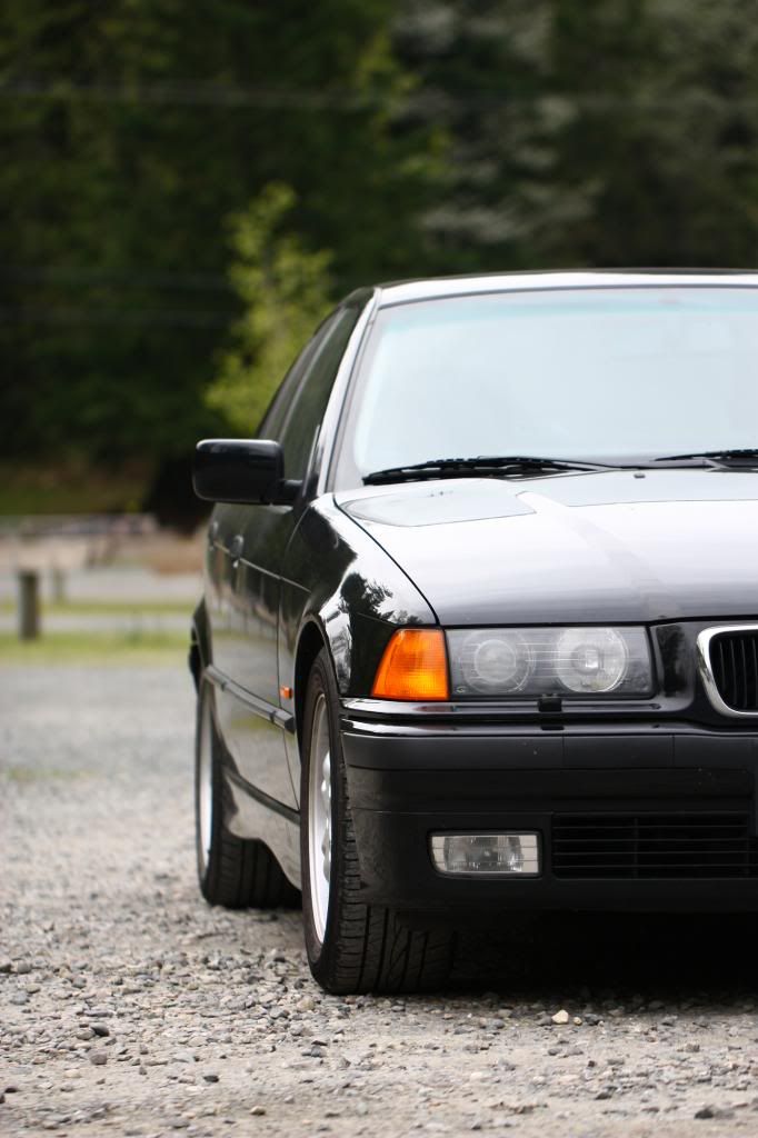 IMAGE: http://i1097.photobucket.com/albums/g350/winwinphoto/IMG_3936_zps268b5206.jpg