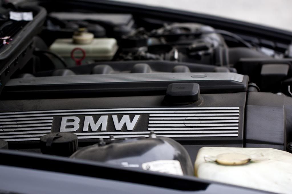 IMAGE: http://i1097.photobucket.com/albums/g350/winwinphoto/IMG_4012_zpsd8eee0b2.jpg