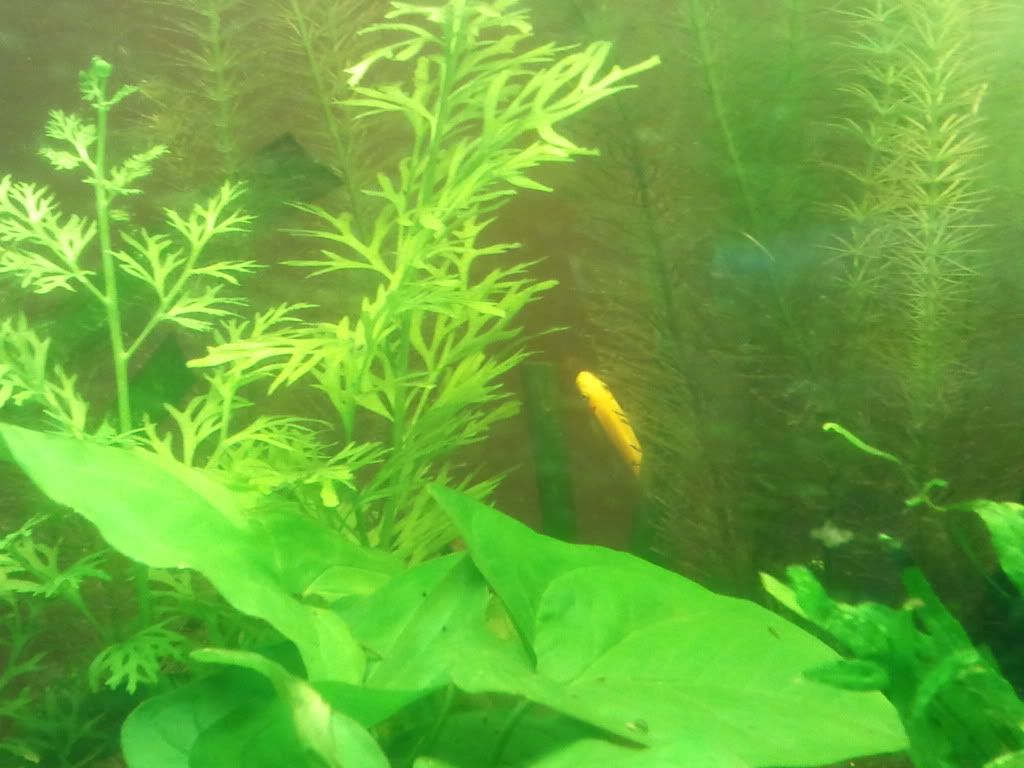 2011-05-16155120.jpg