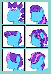 Mane8.png