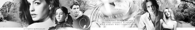 HPFF1BANNER.png