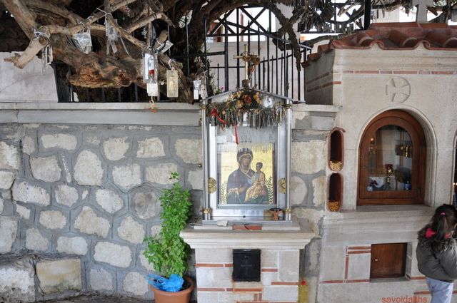 Εικόνα