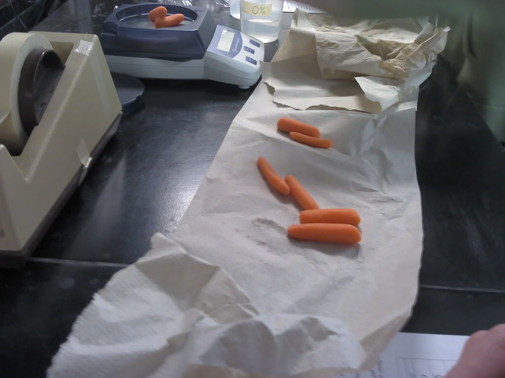 Carrot Osmosis Lab AP Bilogy EPortfolio Muhammad Samara