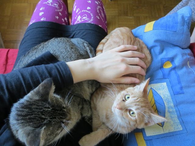 Slika