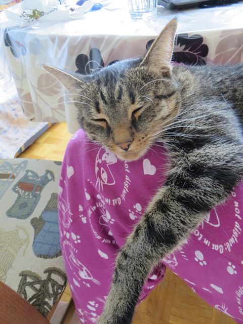 Slika