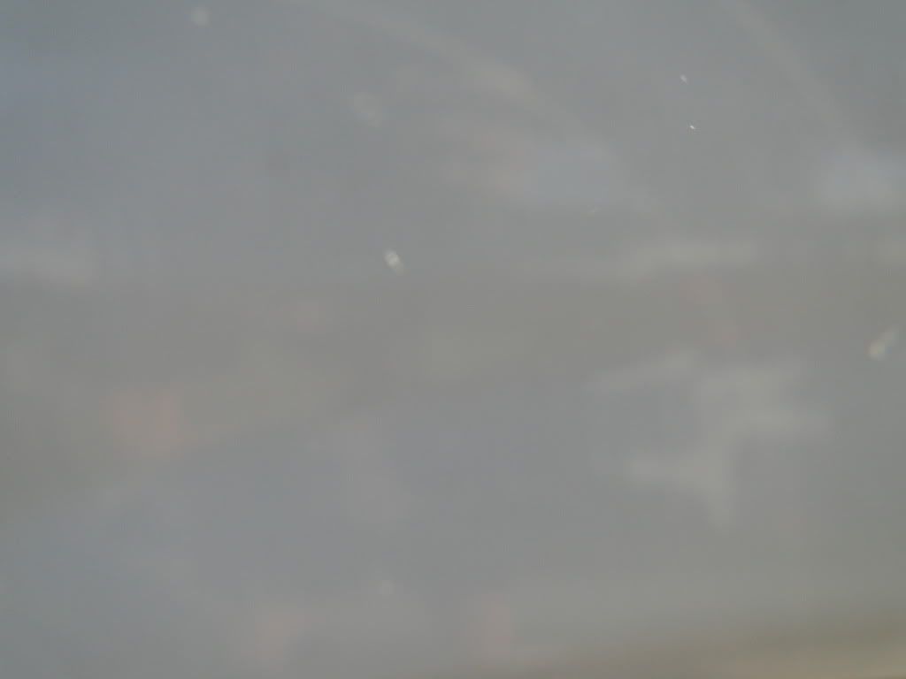 DSC01617.jpg