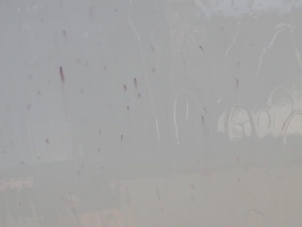 DSC01618.jpg