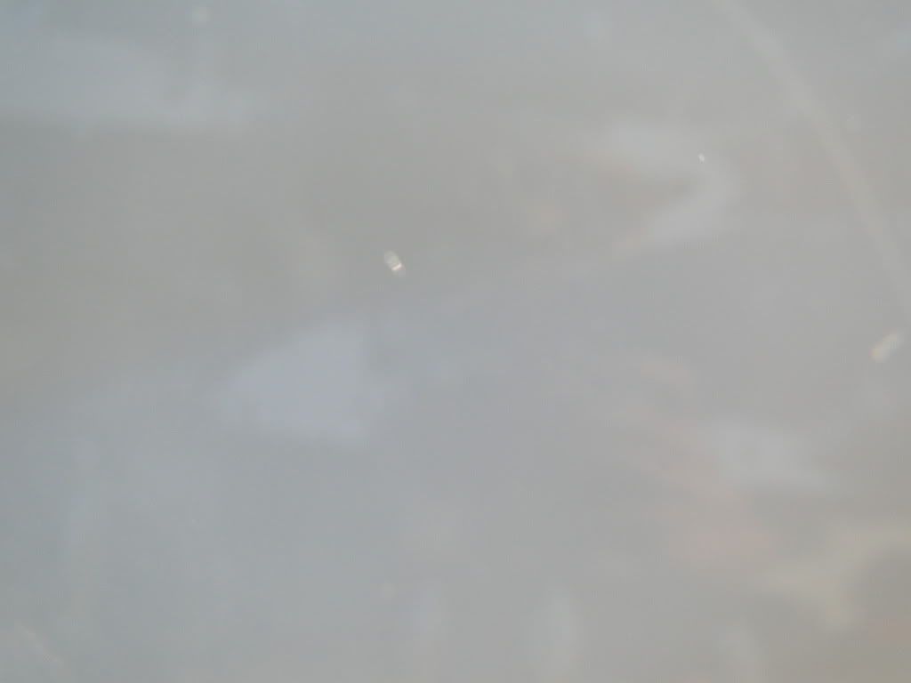 DSC01621.jpg