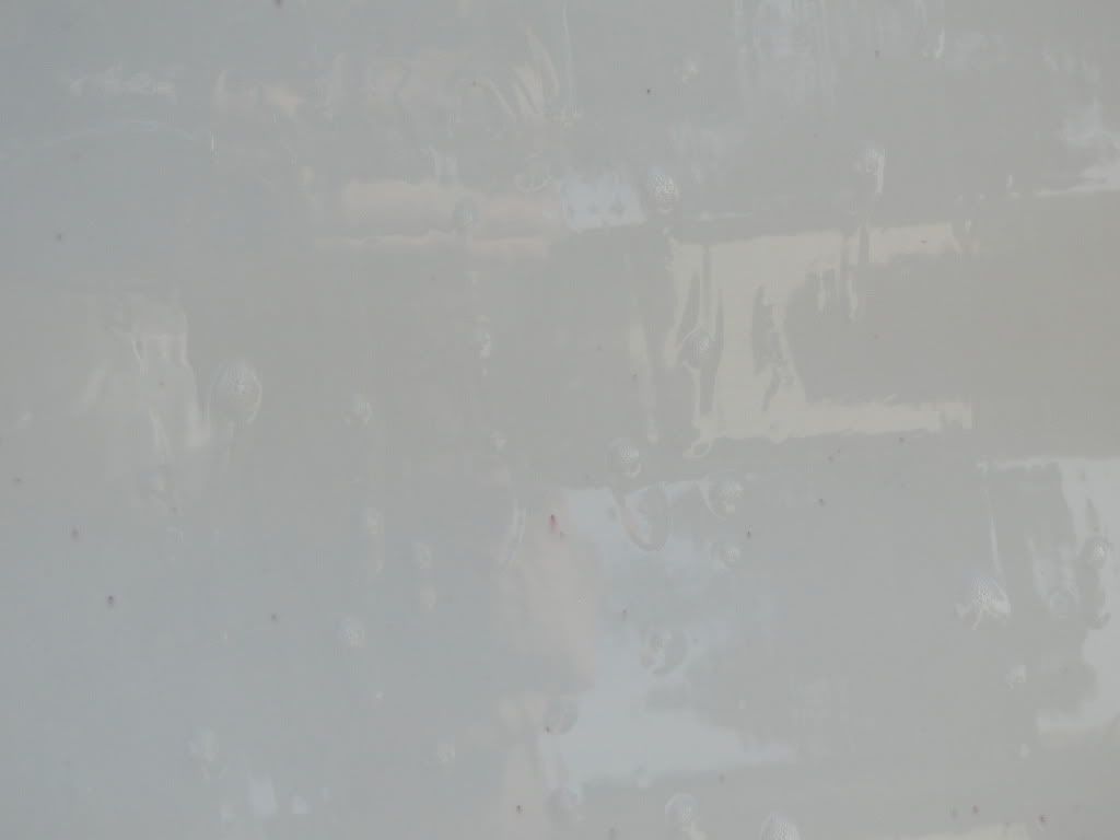 DSC01622.jpg