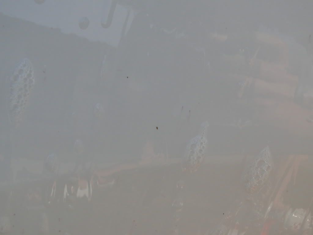 DSC01623.jpg