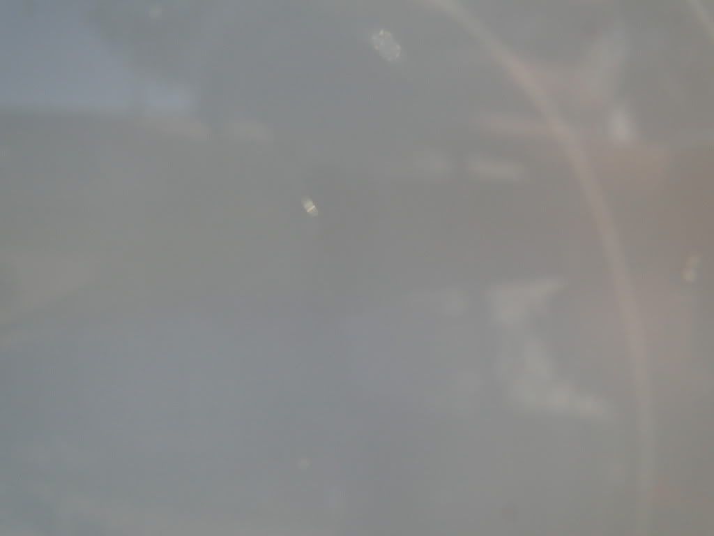 DSC01625.jpg