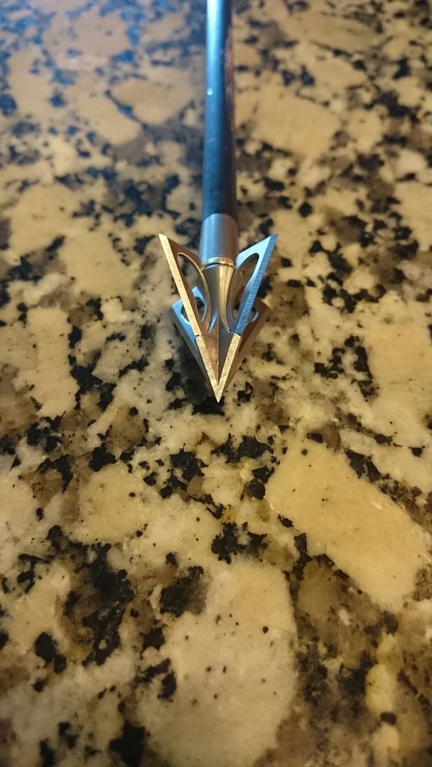 Broadhead for moose,elk and whitetail Archery Talk Forum