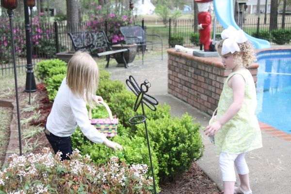photo IMG_5354_zpsbd50bd34.jpg