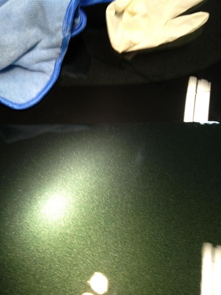 IMG_0490_zps00967933.jpg