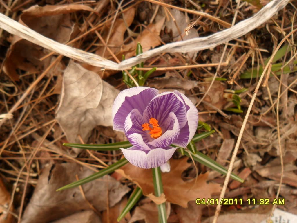 Breaking News! - Countryside Families