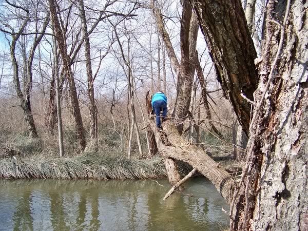 well, i'm going to go get lost now. - Countryside Families