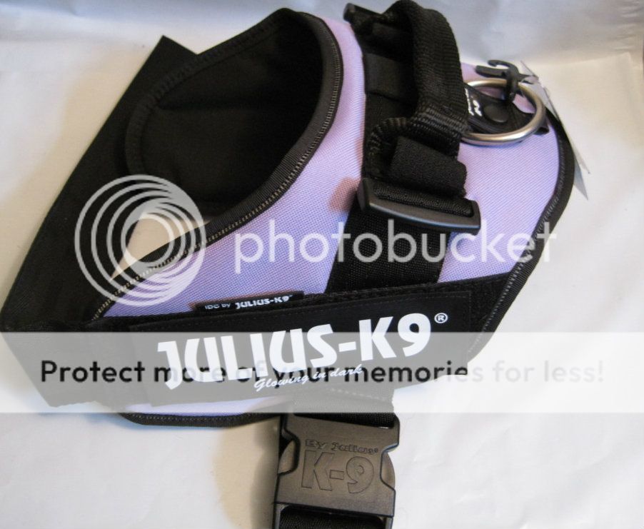 Julius K9 Dog Puppy Harness Purple IDC Pick Size Color Easy on Off $28 99 Up