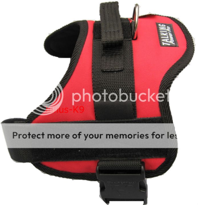   TPP DOG HARNESS NO COLLAR NEEDED ATTACH A LEASH/LEAD TO HARNESS  