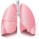 Asthma - Lung disease in Family